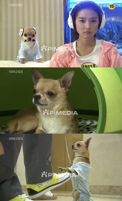 ‘결못남’ 김소은 강아지 상구, 관심집중!