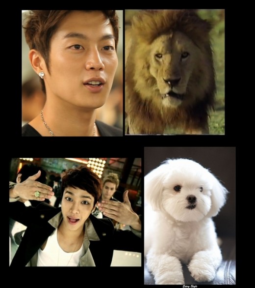 비스트 동물비유, 윤두준-사자 이기광-강아지 닮아