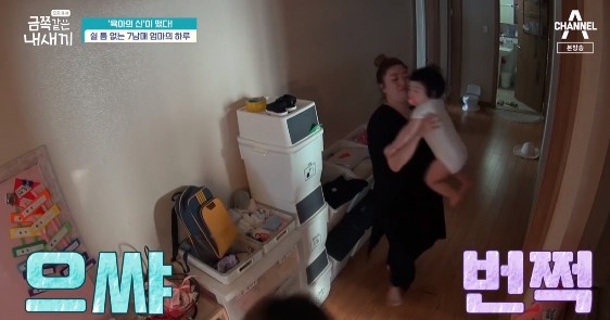 ‘금쪽같은’ 7남매 대가족 등장, 집→직장 쉴 틈없는 母일상에 MC들 '깜짝'