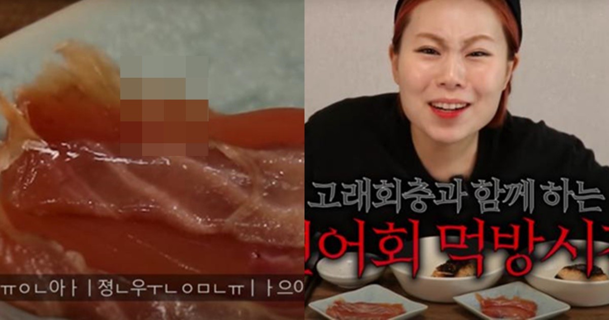 "저 어떡하죠?"…국산연어 먹다 고래회충 먹은 유튜버 수빙수