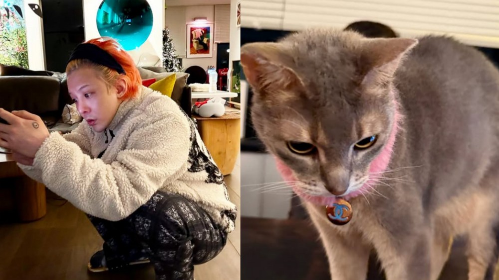 引用:G-DRAGON、イ・ジュヨン