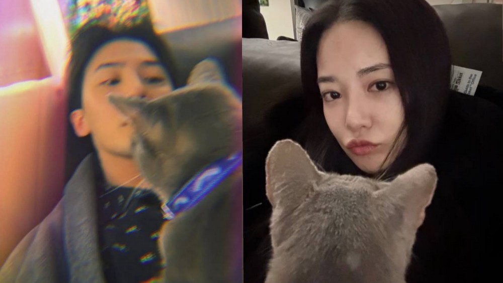 引用:G-DRAGON、イ・ジュヨン