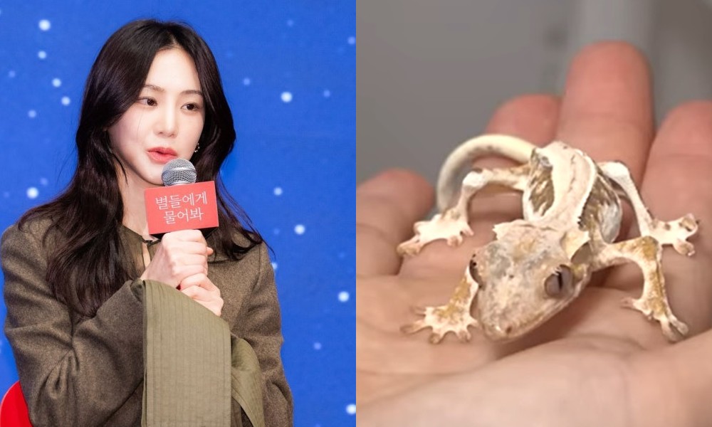 한지은 '반려 도마뱀 학대 의혹' 해명