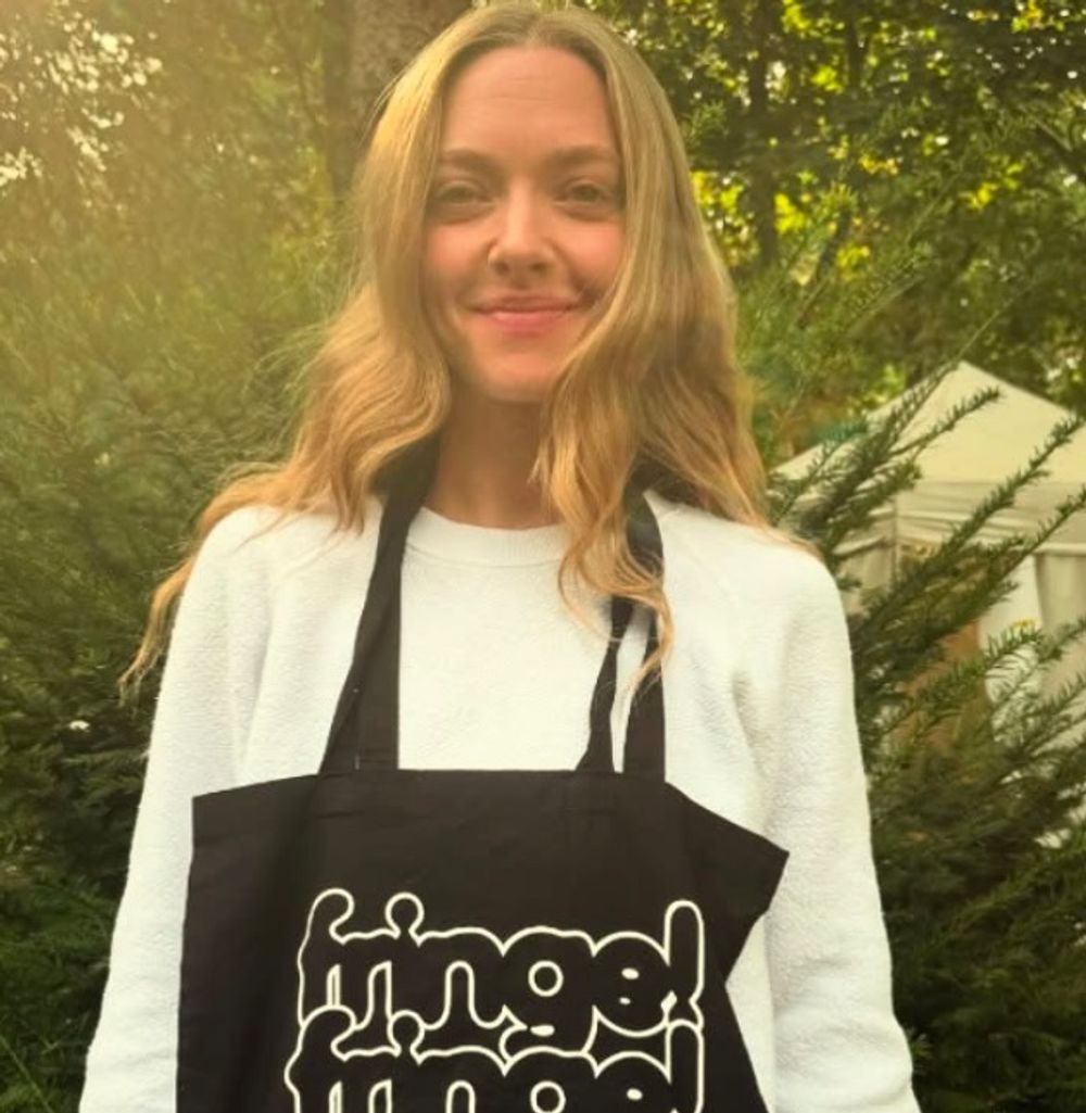 Credit: Amanda Seyfried\'s Social Media