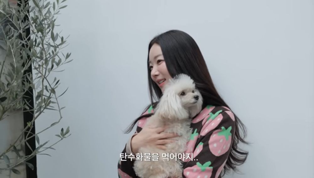 대표 이미지