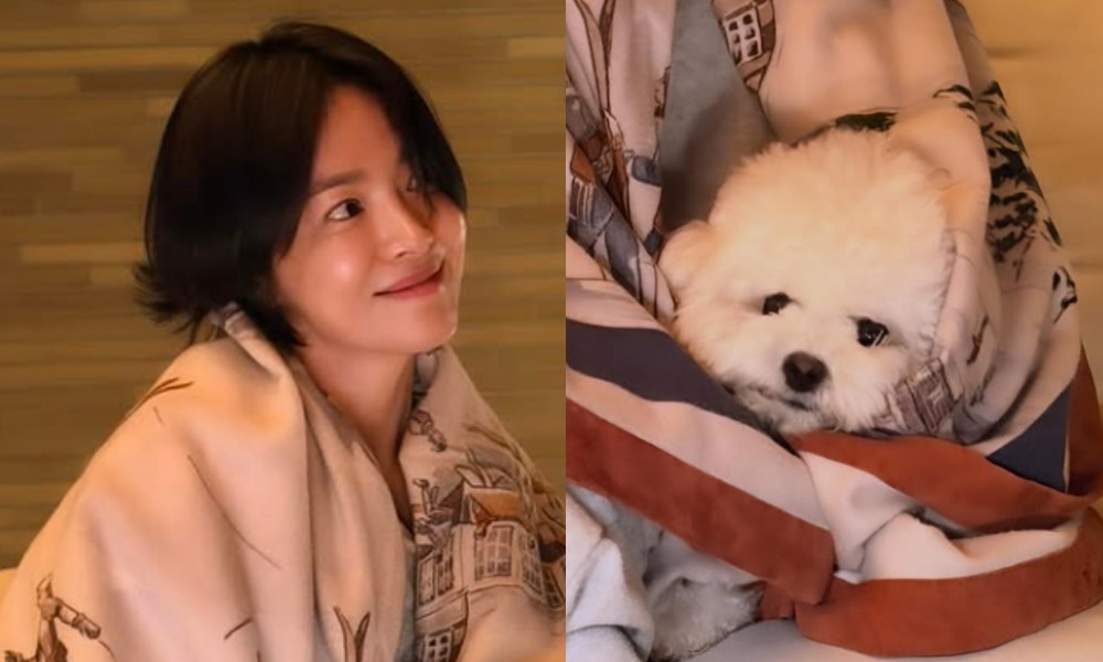 대표 이미지