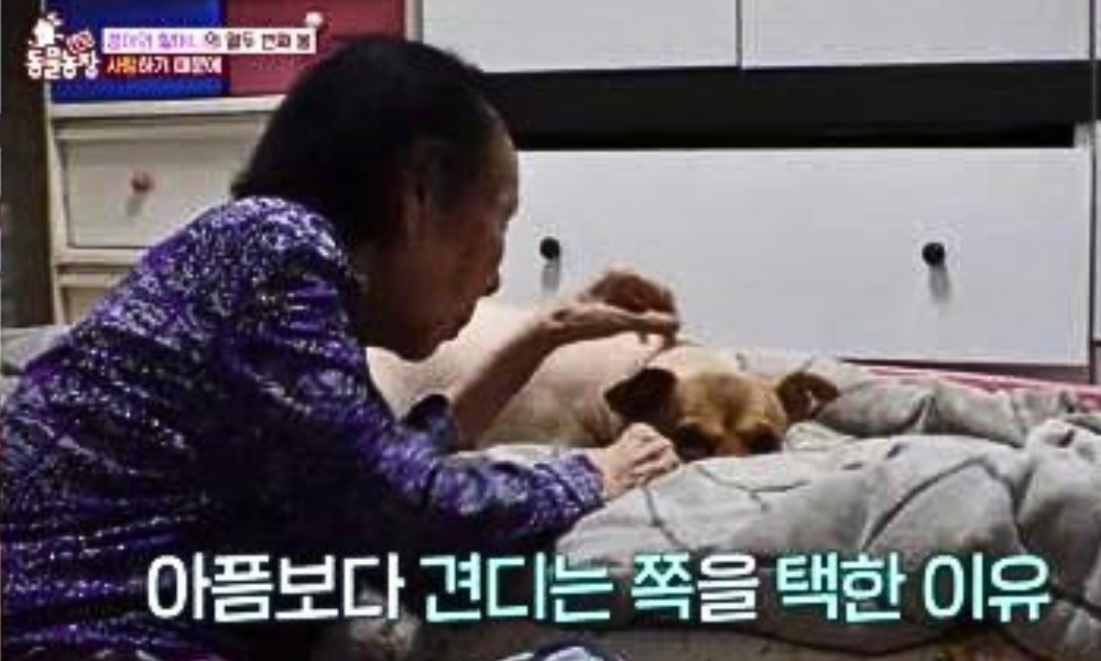 대표 이미지