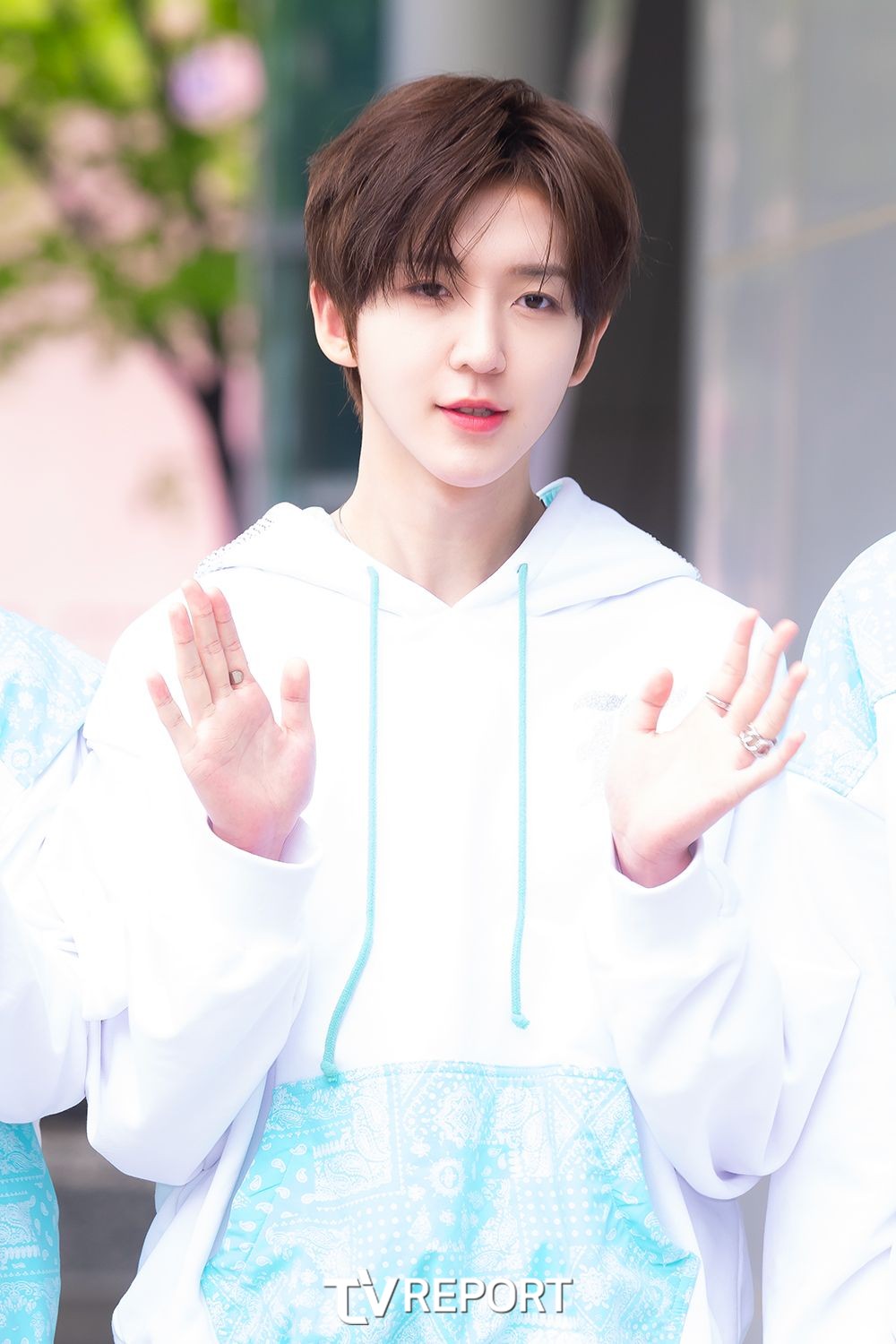 대표 이미지
