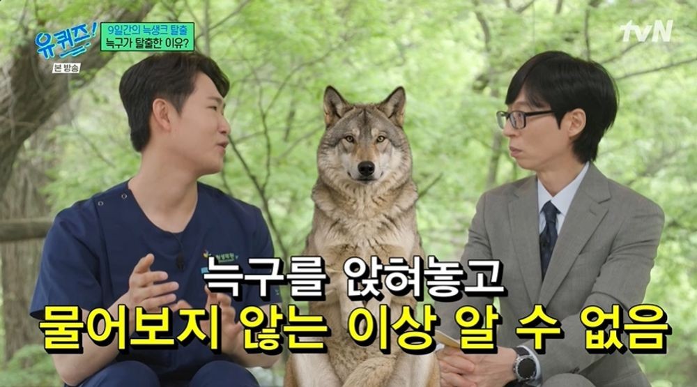 대표 이미지