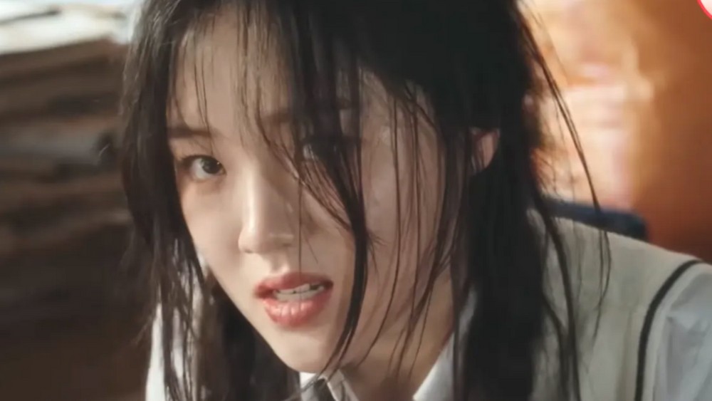 대표 이미지