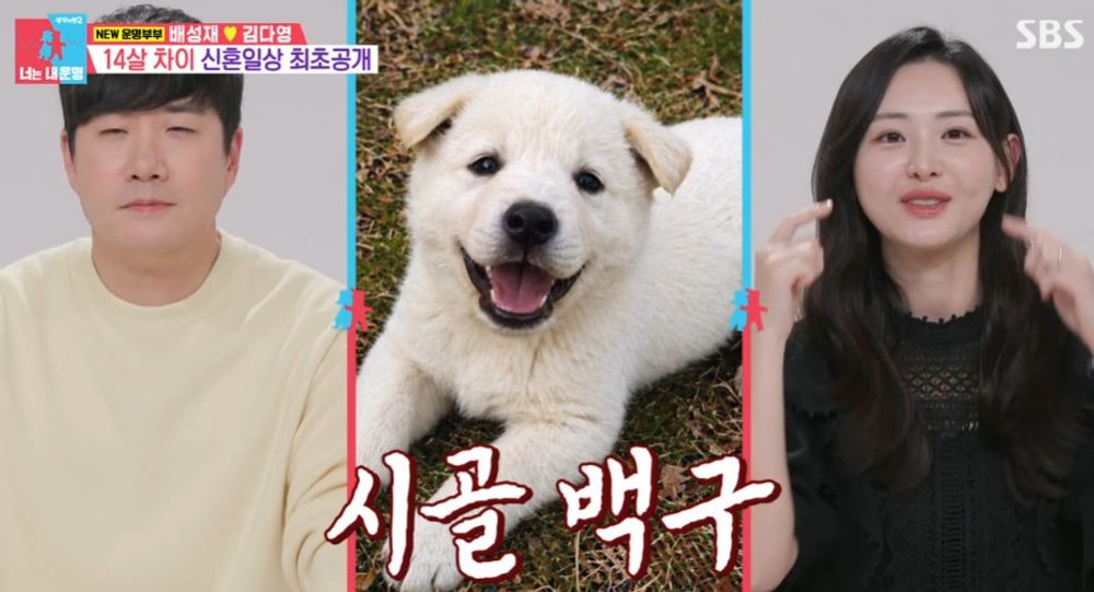 대표 이미지