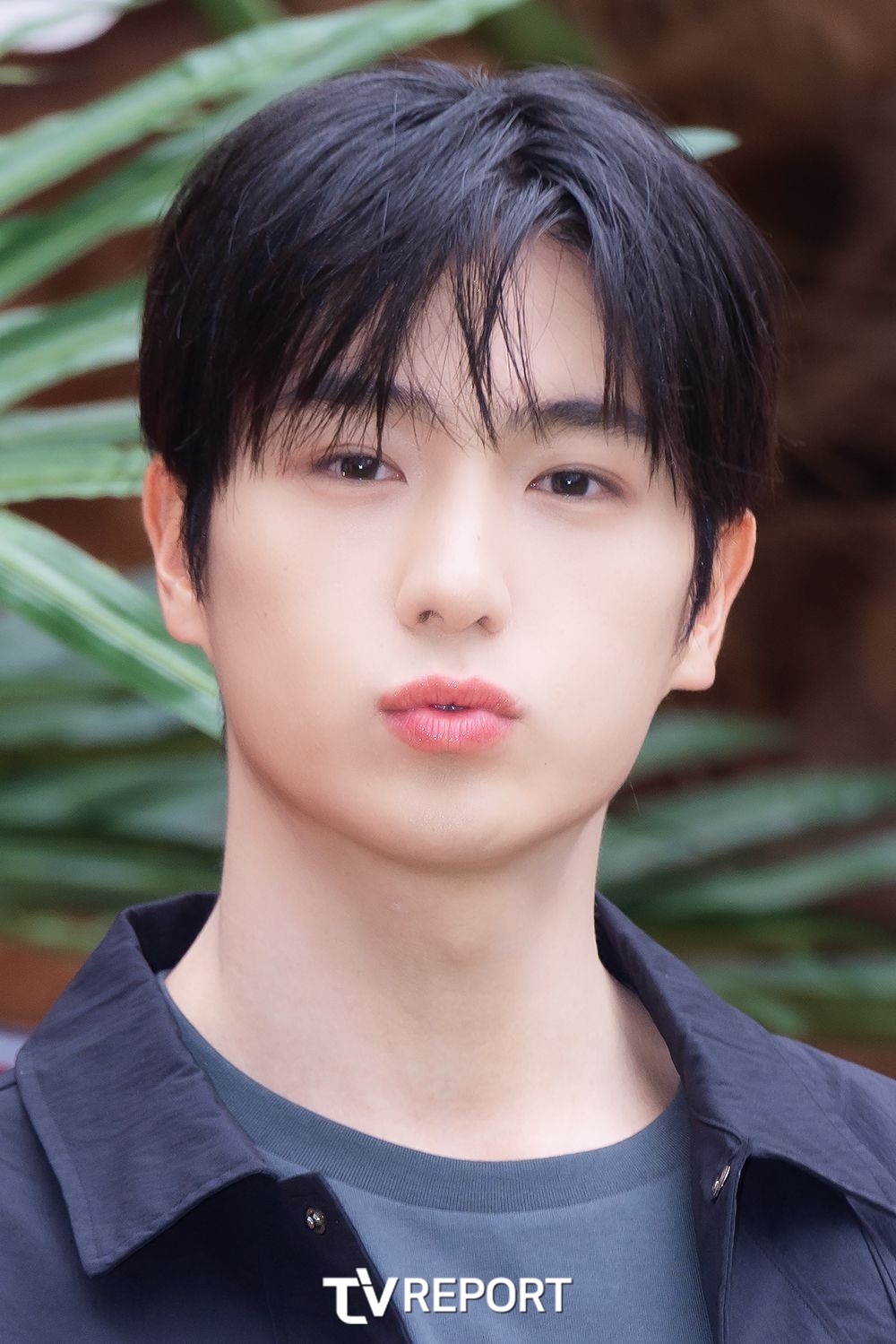 대표 이미지