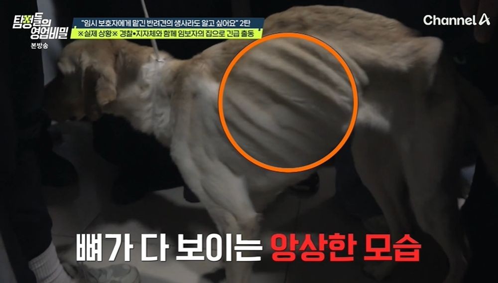 대표 이미지