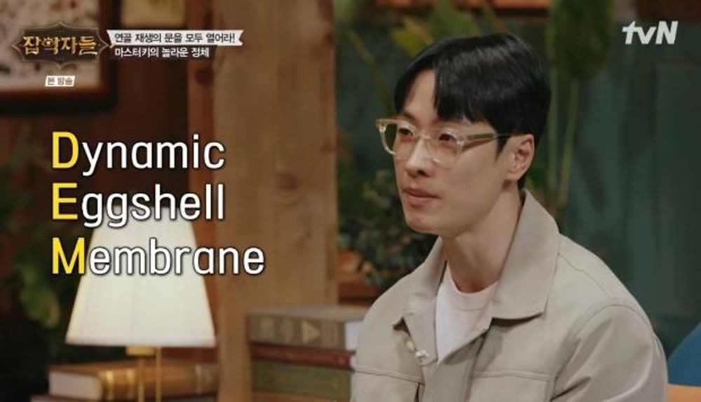대표 이미지