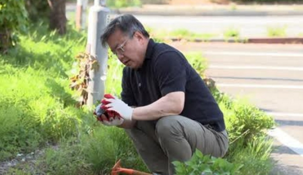 대표 이미지