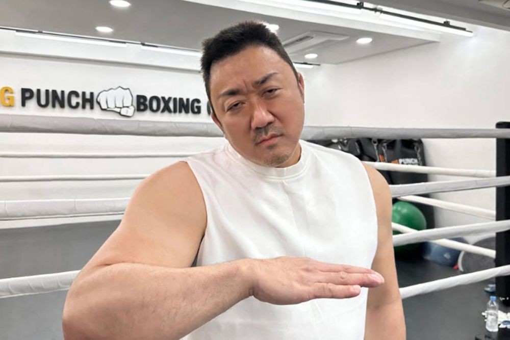 마동석, 북부대공 유행 탑승→험상궂은 얼굴로 ‘마산’ 된 근황 공개 [RE:스타]