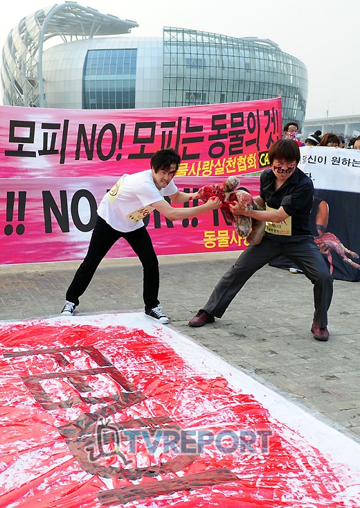 [T포토] 동물보호단체, 서울시-펜디 모피쇼 규탄 시위 펼쳐