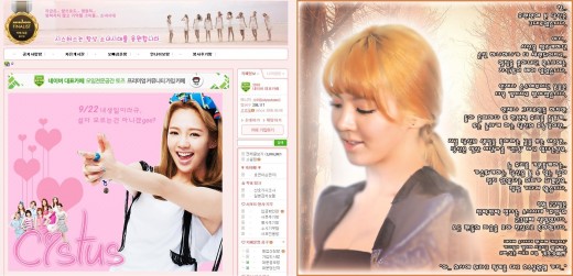 소녀시대 효연 생일, 팬들 '신문광고' 선물…"효탄절엔 기부를"
