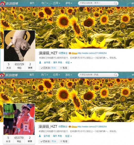 엑소 타오, 웨이보 프로필-지아 고양이 난데없이 관심폭주