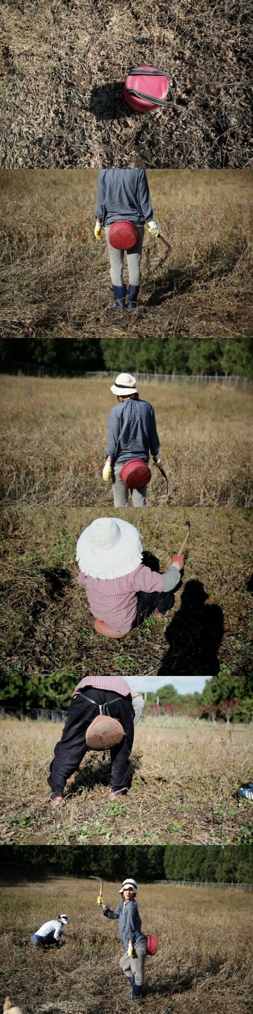 이효리, 제주도 콩 수확 모습 공개…"시골 필수 핫 아이템"