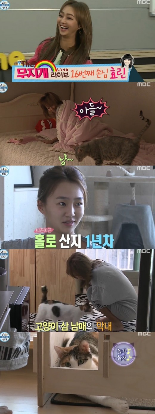 '나혼자산다' 효린, 싱글라이프 공개 '고양이 세 마리와 동거 중'