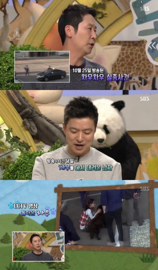 '동물농장' 만삭의 차우, 실종사건 보도날 돌아왔다 '감격'