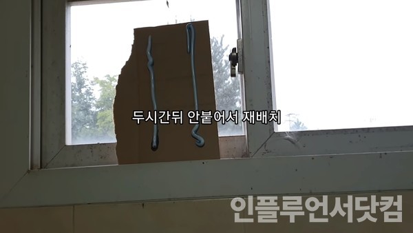 유튜브 '국가대표 쩔템' 채널