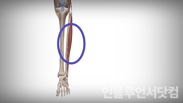유튜브 '부산의사 김원장' 채널
