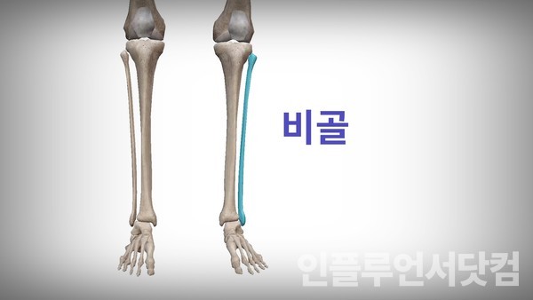 유튜브 '부산의사 김원장' 채널
