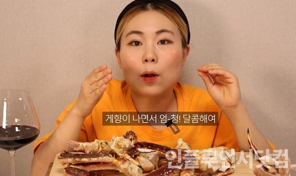 유튜브 '수빙수tv sooBingsoo' 채널