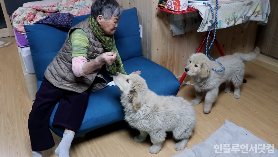 유튜브 '해피퍼니 Happy Funny' 채널