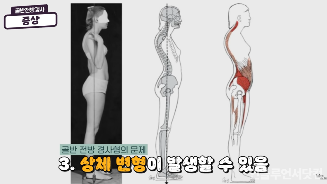 유튜브 '제이제이살롱드핏' 채널