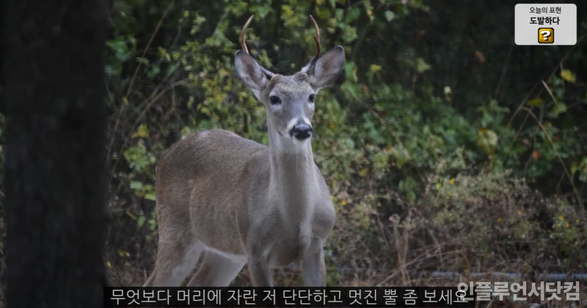 유튜브 '올리버쌤' 채널