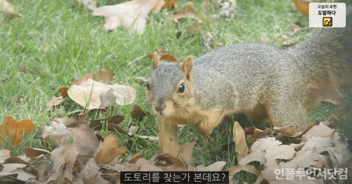 유튜브 '올리버쌤' 채널