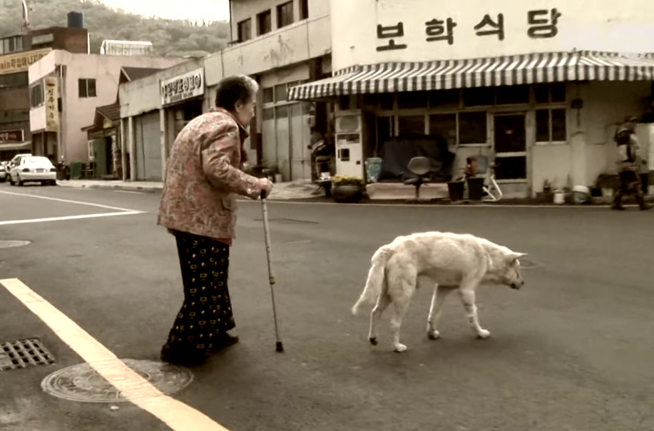 사진=유튜브 'SBS TV동물농장x애니멀봐 공식 유튜브 채널입니다!' 채널 영상 캡처