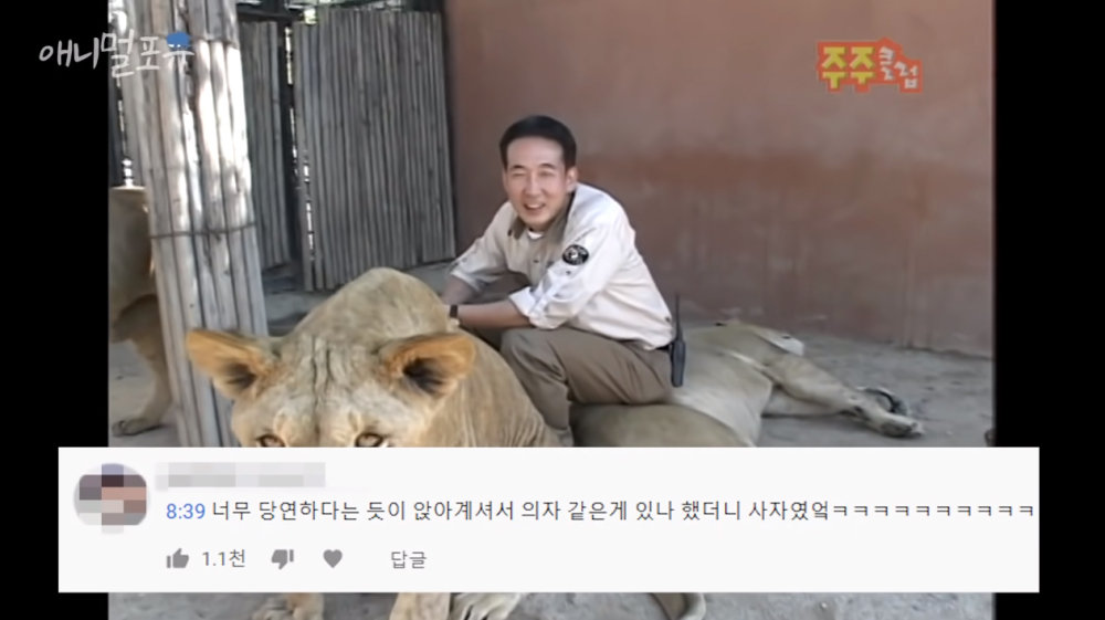 사진=유튜브 채널 'KBS동물티비 : 애니멀포유 animal4u' 영상 캡처